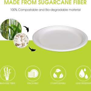 10" Bagasse Round Disposable Plates, Sugarcane Fiber Compostable Bulk Paper Plates for Party, Biodegradable Dinner Paper Plate Disposable for Snacks, Lunch, Dinner, BBQ - Image 6