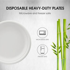10" Bagasse Round Disposable Plates, Sugarcane Fiber Compostable Bulk Paper Plates for Party, Biodegradable Dinner Paper Plate Disposable for Snacks, Lunch, Dinner, BBQ - Image 4