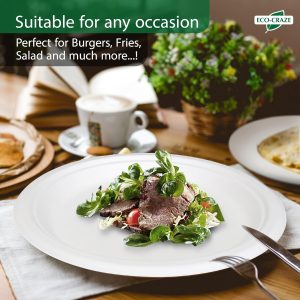 9" Bagasse Round Disposable Plates, Sugarcane Fiber Compostable Bulk Paper Plates for Party, Biodegradable Dinner Paper Plate… - Image 2