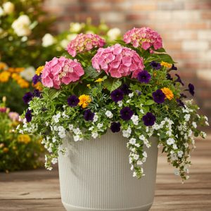 Modern Indoor & Outdoor Plant Pot - 5 Pcs - Image 6