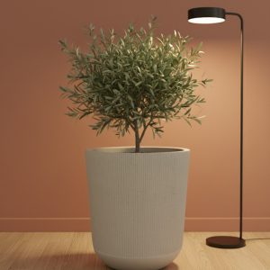 Modern Indoor & Outdoor Plant Pot - 5 Pcs - Image 2