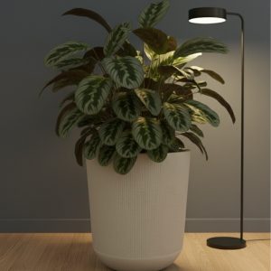 Modern Indoor & Outdoor Plant Pot - 5 Pcs - Image 4