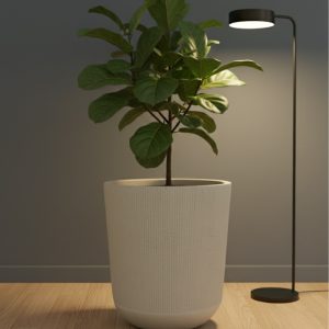 Modern Indoor & Outdoor Plant Pot - 5 Pcs - Image 5