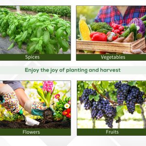 Outsunny 26' x 10' x 6.6' Large Walk in Tunnel Greenhouse Garden Plant Seed Green House Premium Steel Frame - Image 7